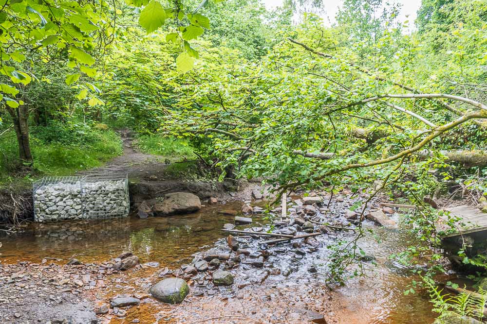 Heathy Lea Brook Heathy Lea Brook